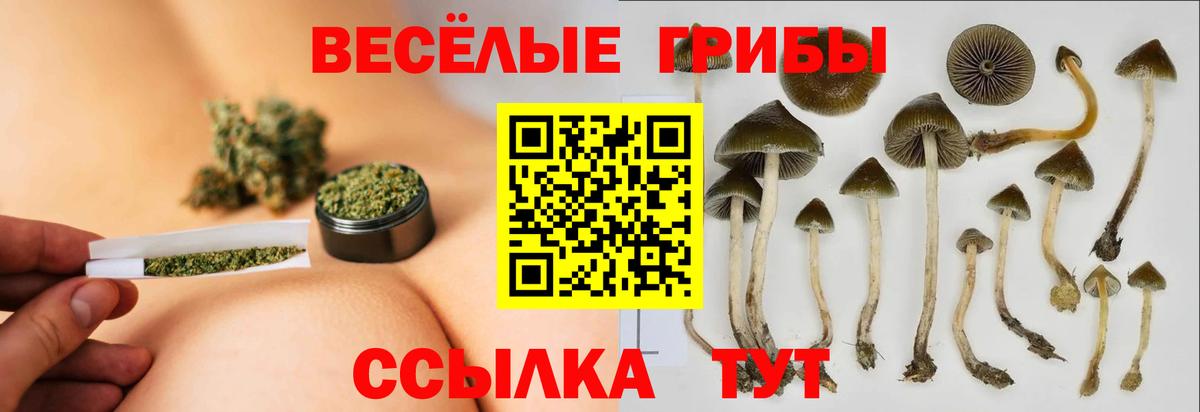 Псилоцибиновые грибы GOLDEN TEACHER Гусь-Хрустальный